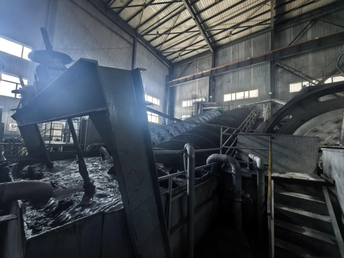 The Complete Graphite Flotation Process The Transformation from Raw Ore to High-Carbon Concentrate